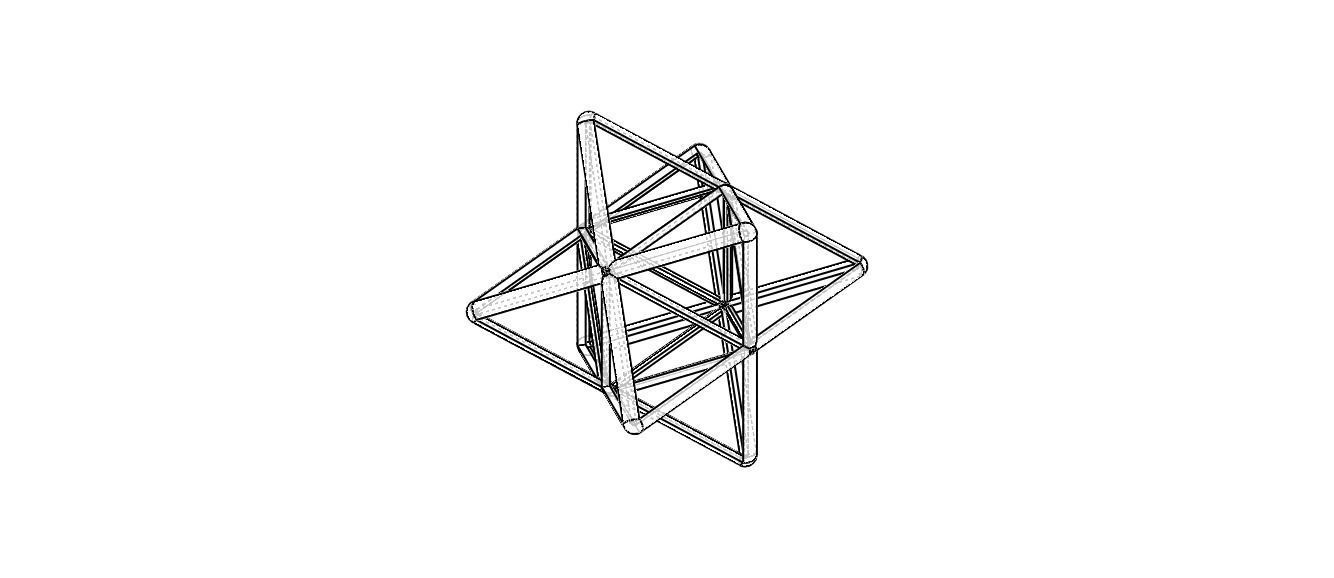 Wireframe Shape Stellated Octahedron 3D print model_27