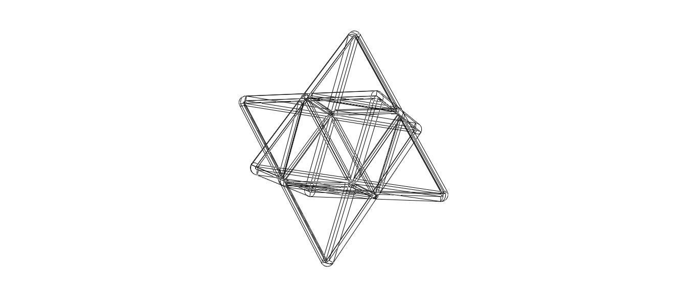 Wireframe Shape Stellated Octahedron 3D print model_36