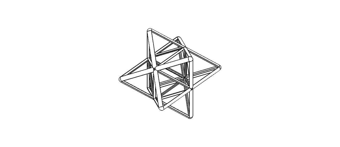 Wireframe Shape Stellated Octahedron 3D print model_26