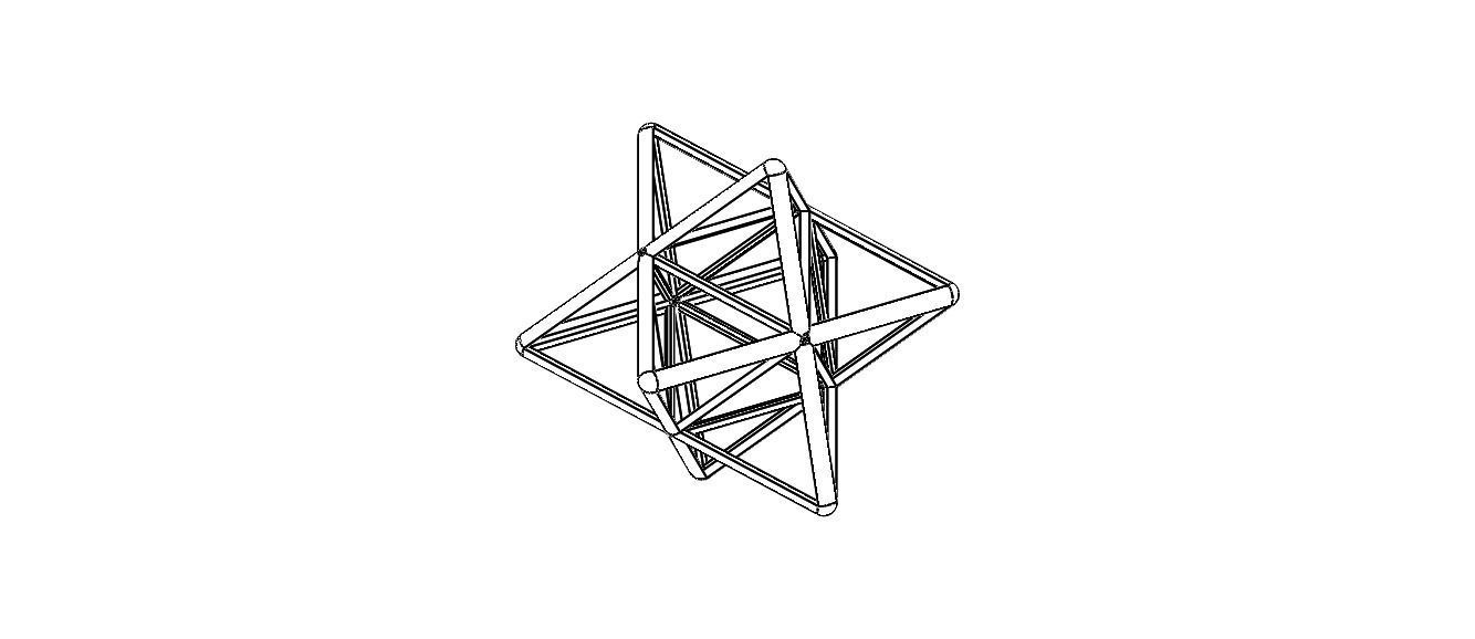 Wireframe Shape Stellated Octahedron 3D print model_18