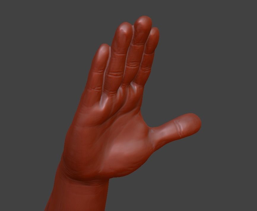 Hii greeting saluted hand 3D print model_24