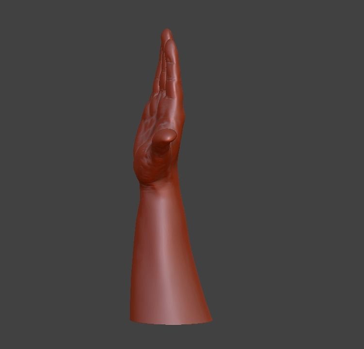 Hii greeting saluted hand 3D print model_9