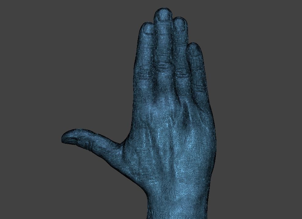 Hii greeting saluted hand 3D print model_2