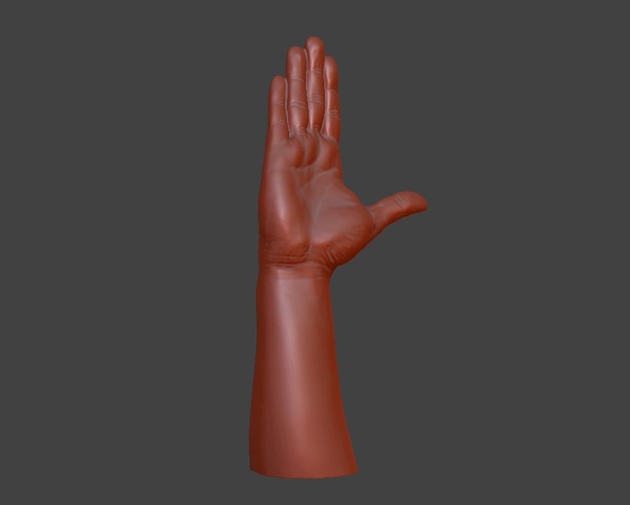 Hii greeting saluted hand 3D print model_20