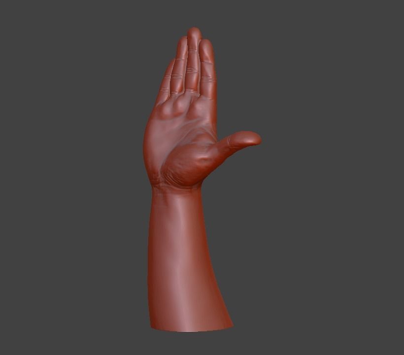 Hii greeting saluted hand 3D print model_7