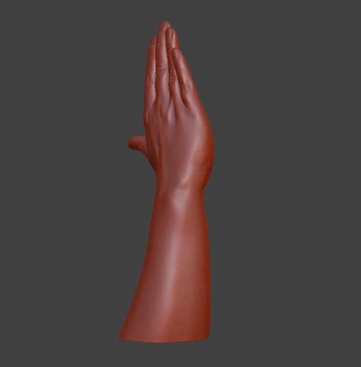 Hii greeting saluted hand 3D print model_16