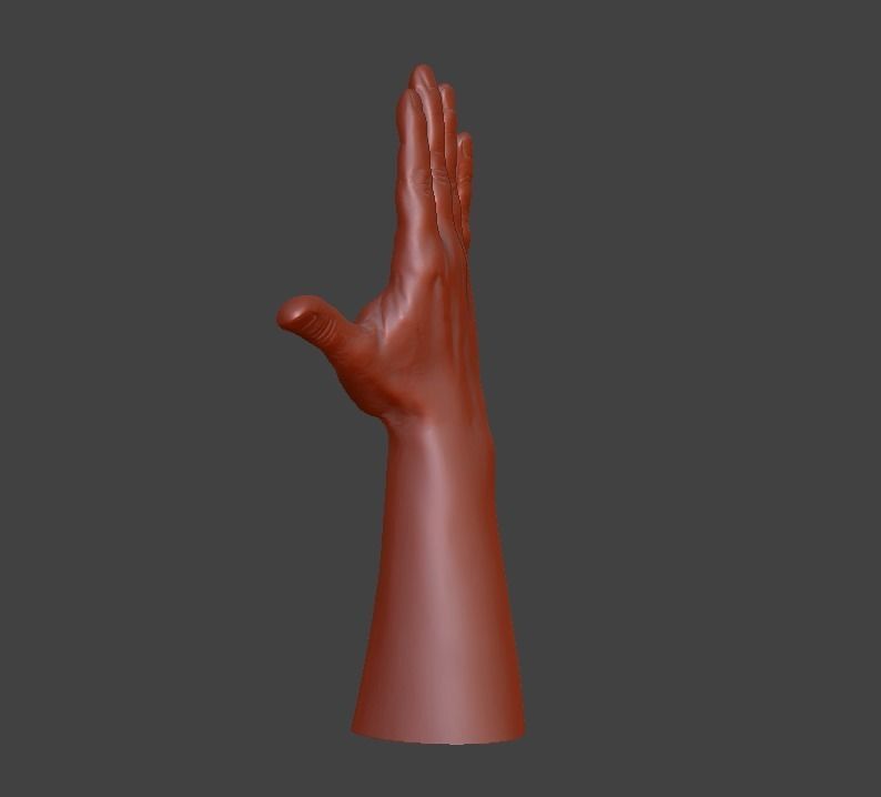 Hii greeting saluted hand 3D print model_11