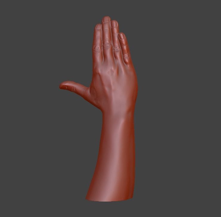 Hii greeting saluted hand 3D print model_14