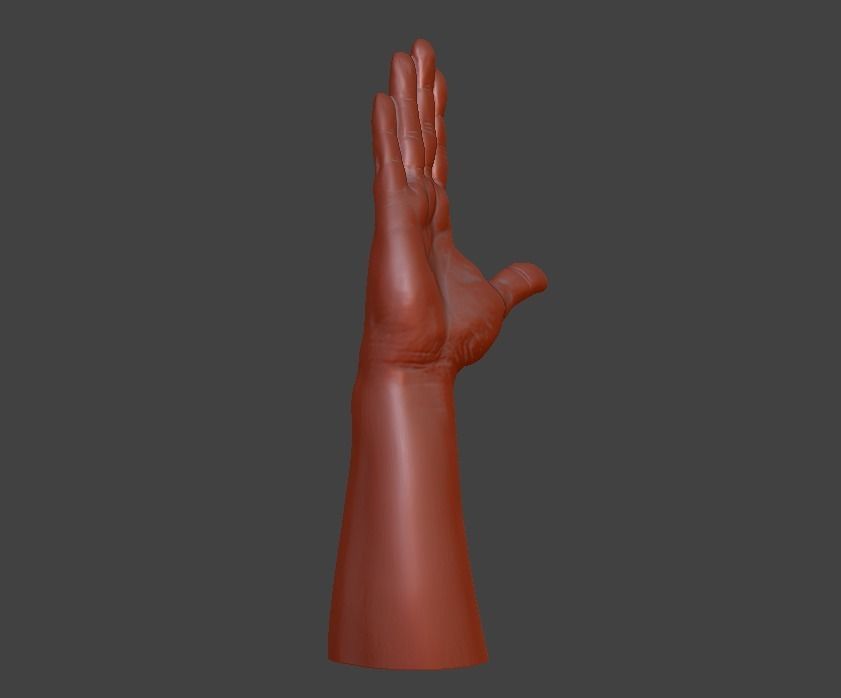 Hii greeting saluted hand 3D print model_19