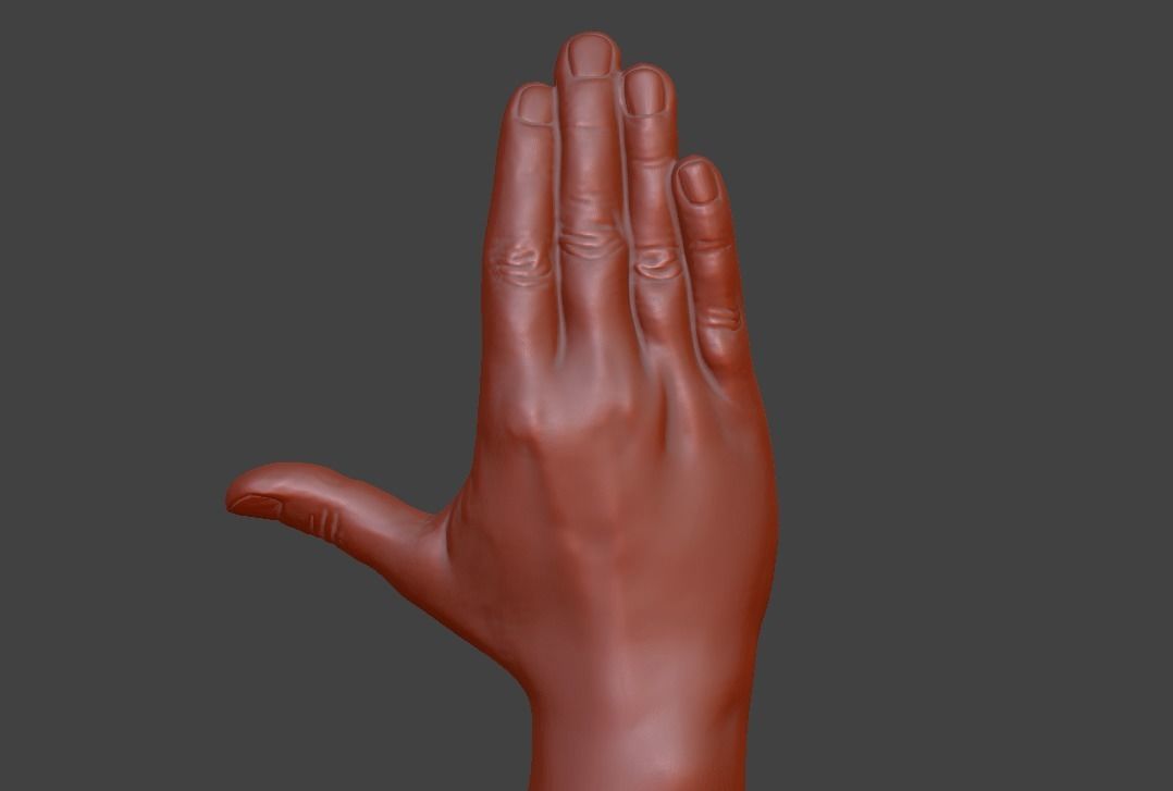Hii greeting saluted hand 3D print model_1