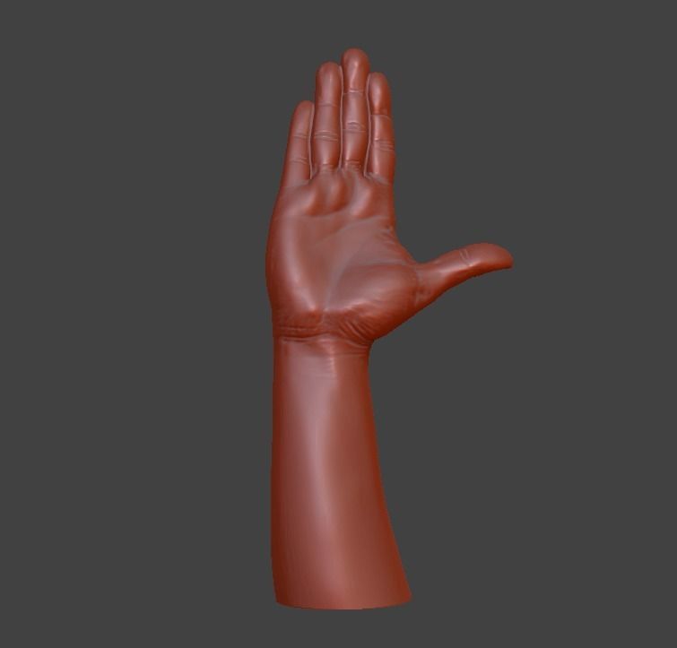 Hii greeting saluted hand 3D print model_21