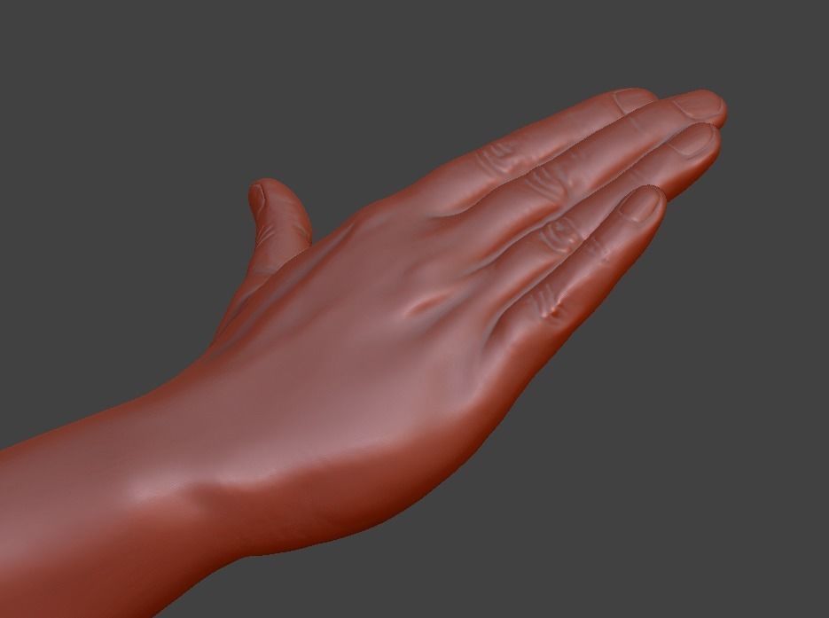 Hii greeting saluted hand 3D print model_26