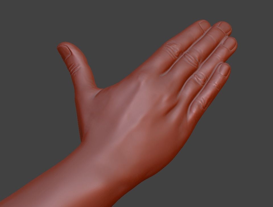 Hii greeting saluted hand 3D print model_27