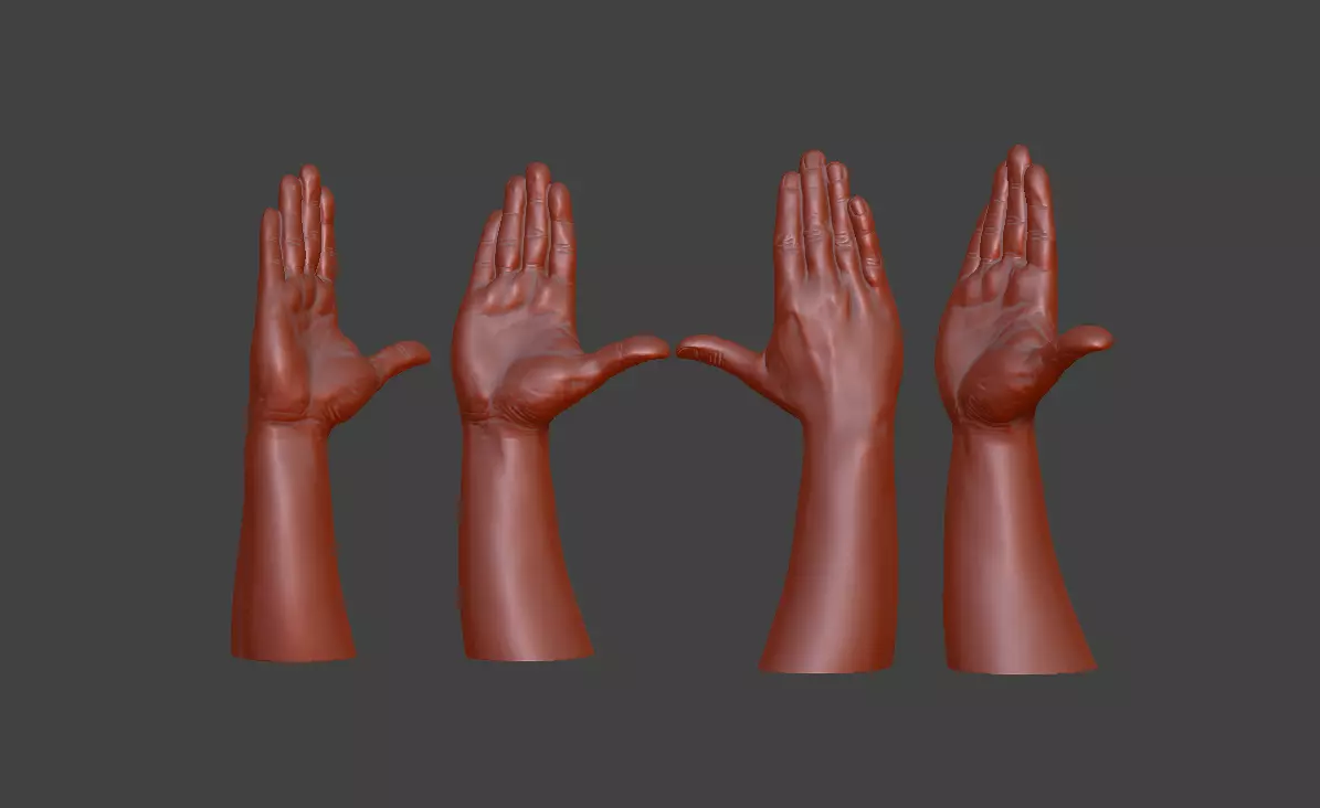 Hii greeting saluted hand 3D print model_0