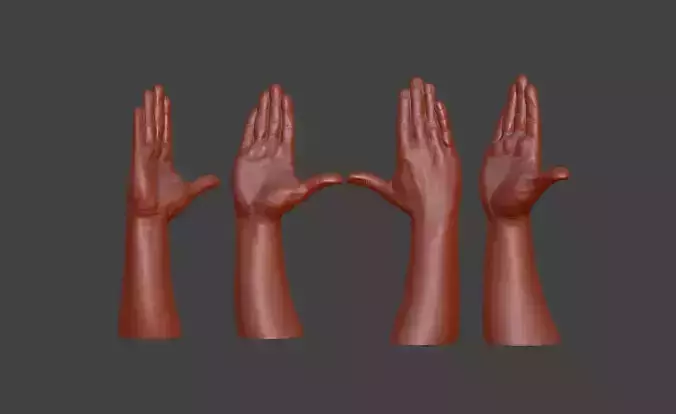 Hii greeting saluted hand  3D print model