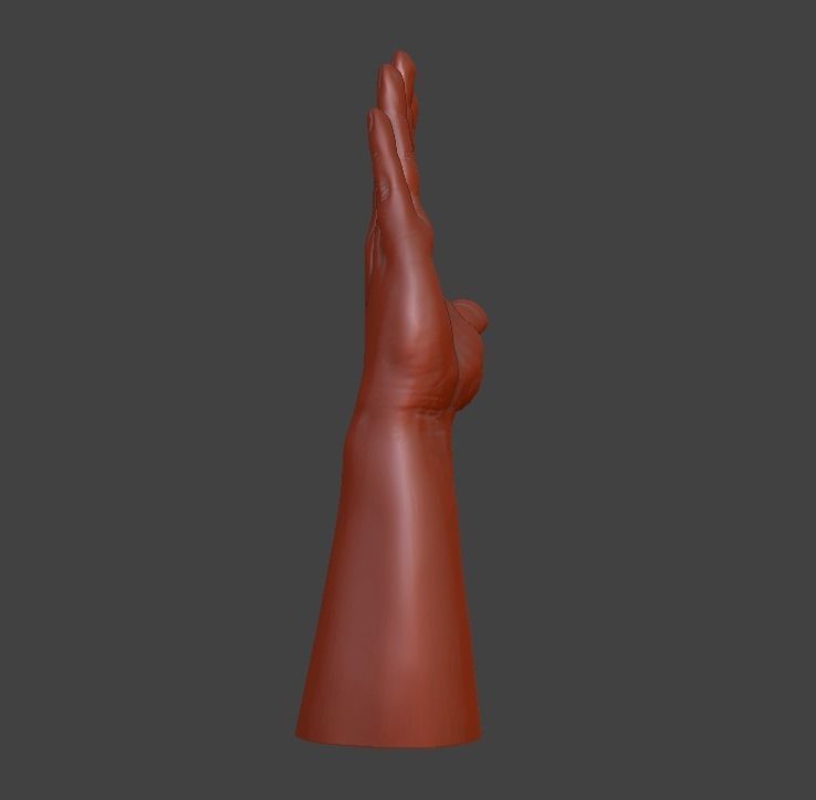 Hii greeting saluted hand 3D print model_18