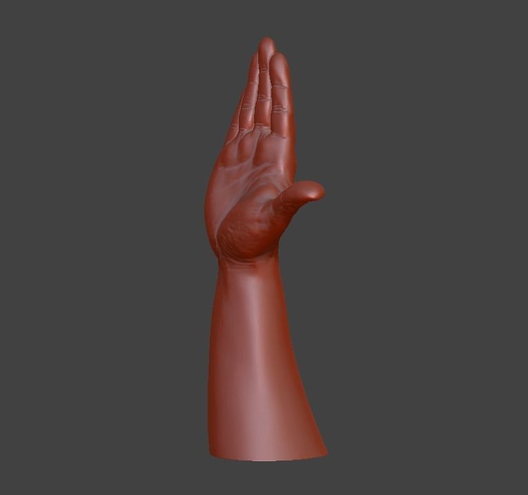 Hii greeting saluted hand 3D print model_8