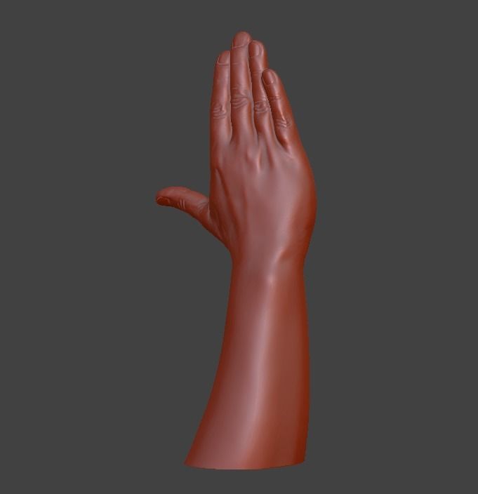 Hii greeting saluted hand 3D print model_15