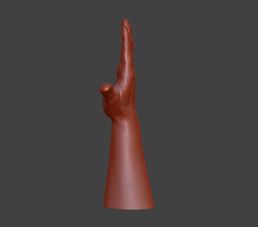 Hii greeting saluted hand 3D print model_10