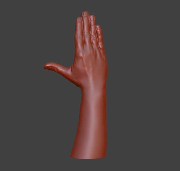 Hii greeting saluted hand 3D print model_13