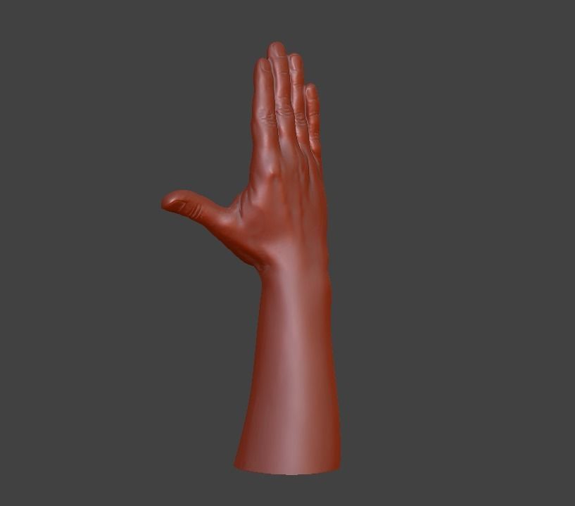 Hii greeting saluted hand 3D print model_12