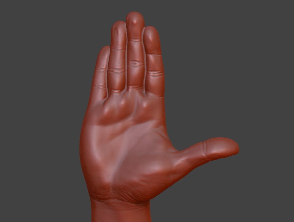 Hii greeting saluted hand 3D print model_3