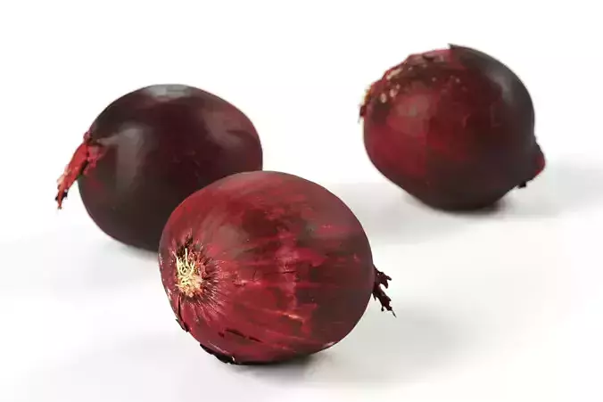 Polypasta - red onion 01 - raw