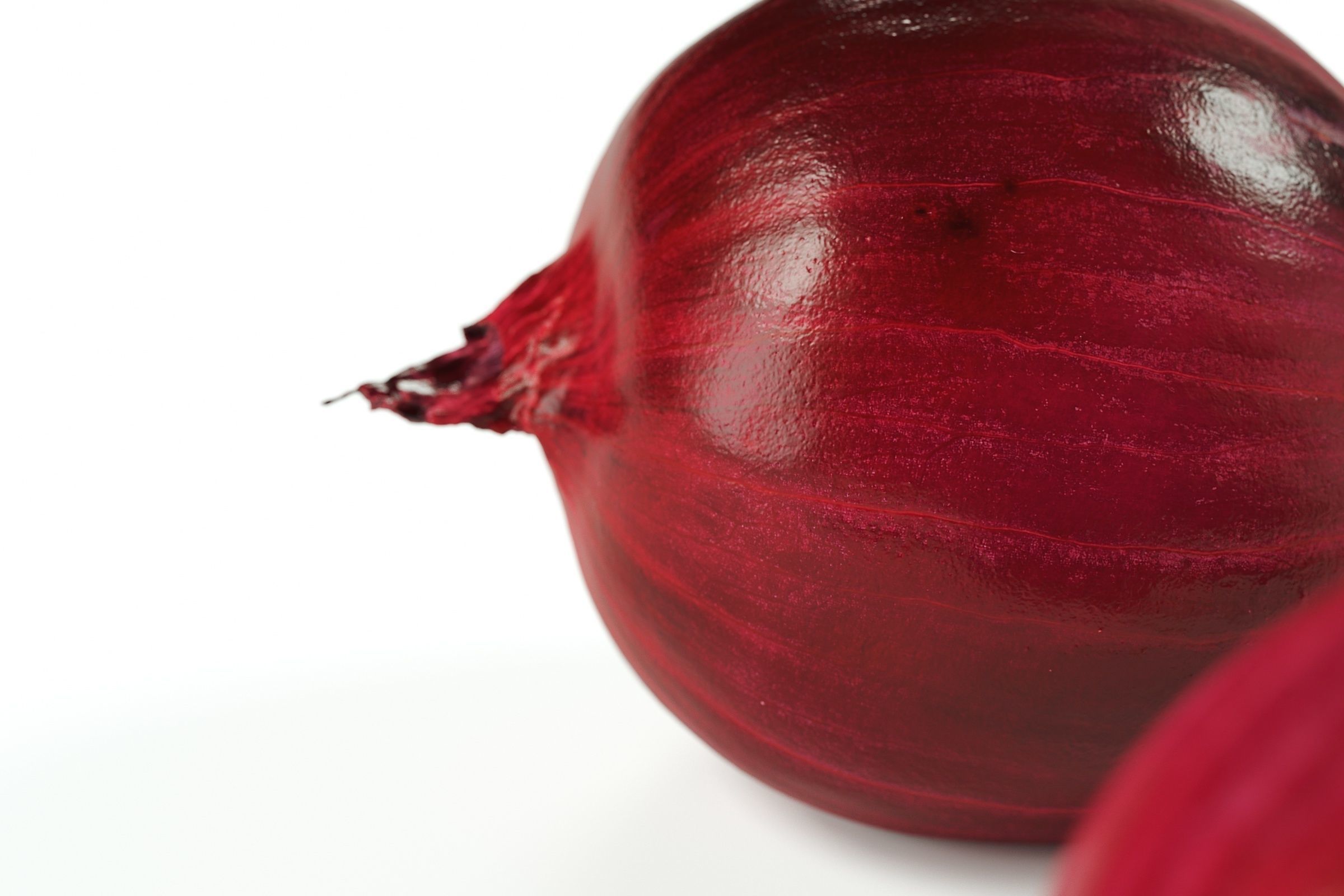 Polypasta - red onion 01 - peeled 3D model_4