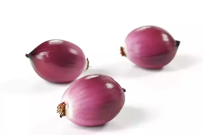Polypasta - red onion 01 - peeled 2