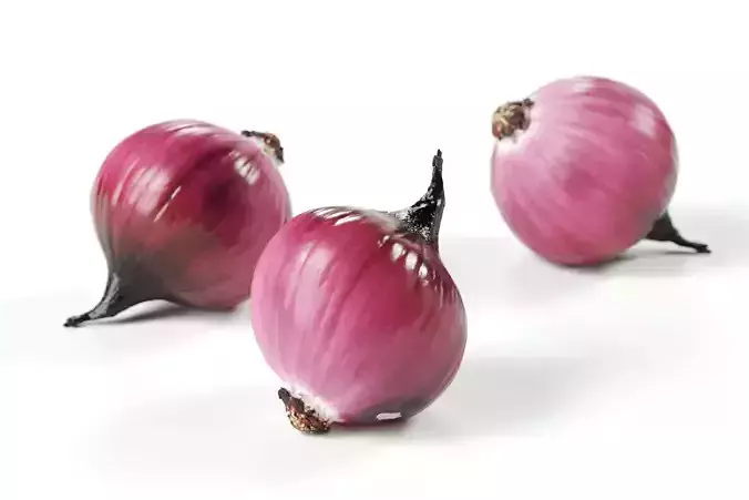 Polypasta - red onion 02 - peeled