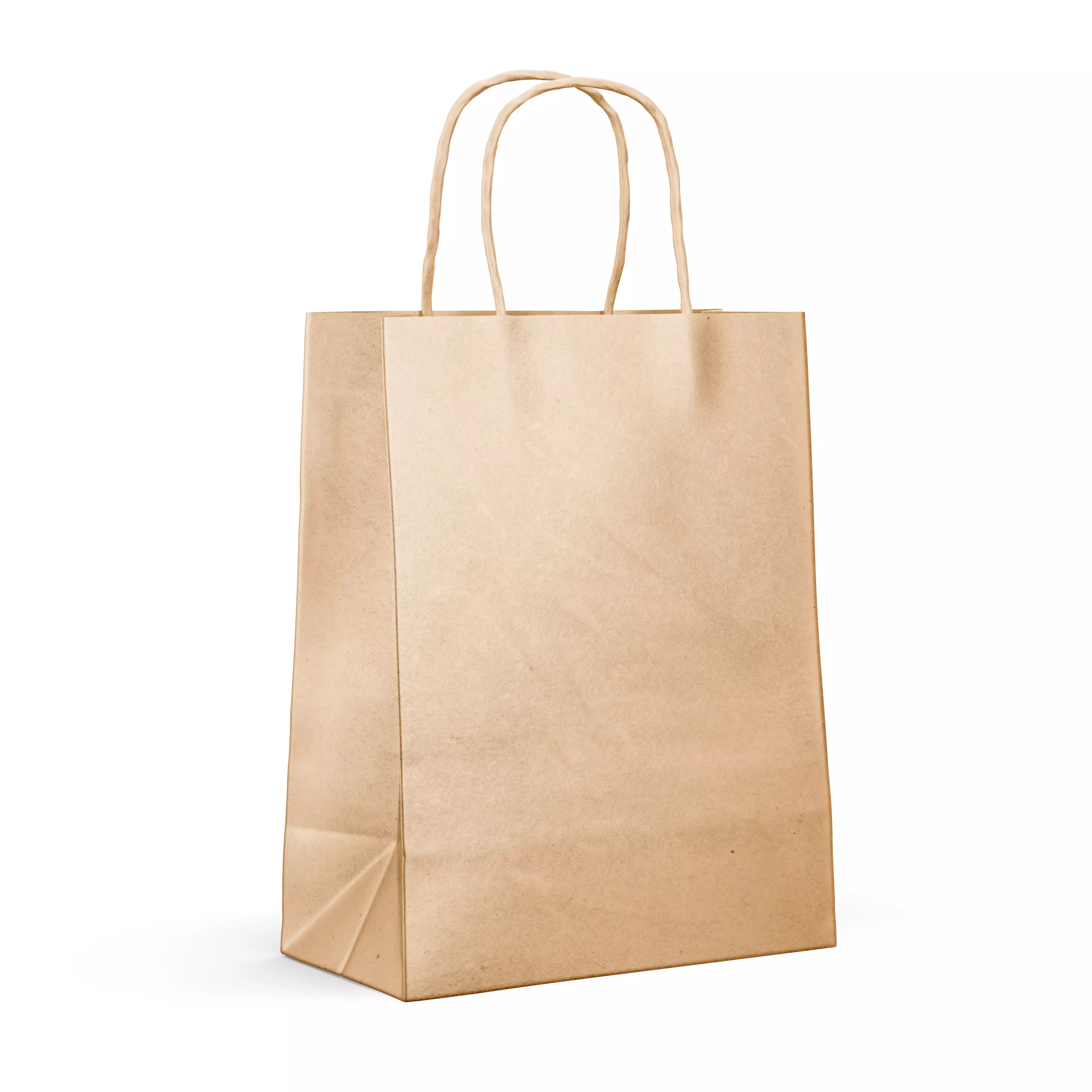Paper Shopping Bag 3D model_0