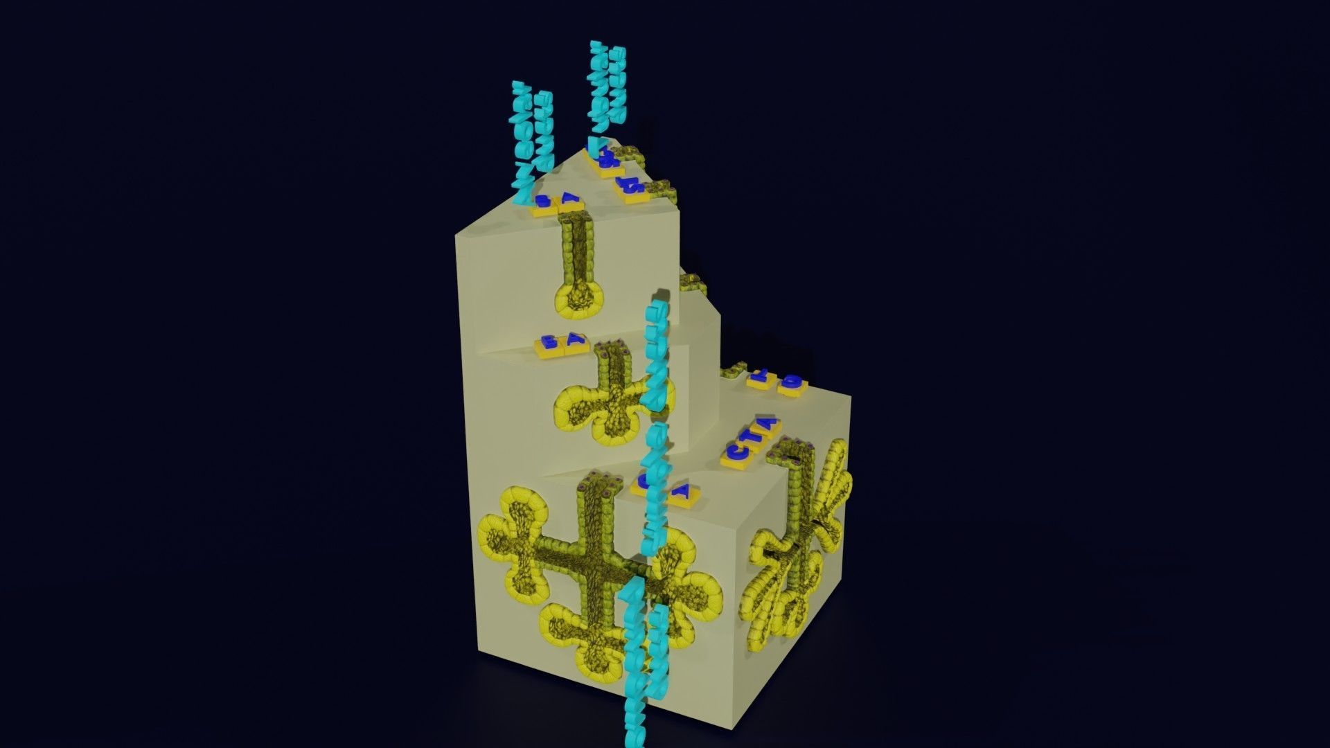 Ducts glands type simple compound alveolar tubular 3D model_41