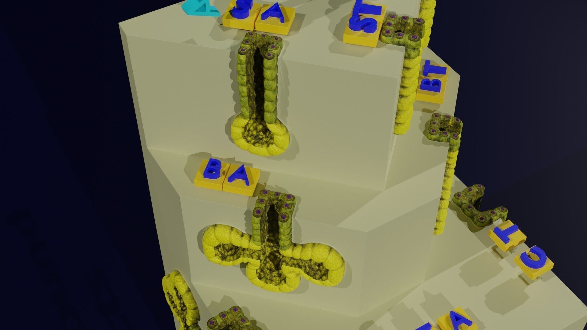 Ducts glands type simple compound alveolar tubular 3D model_25