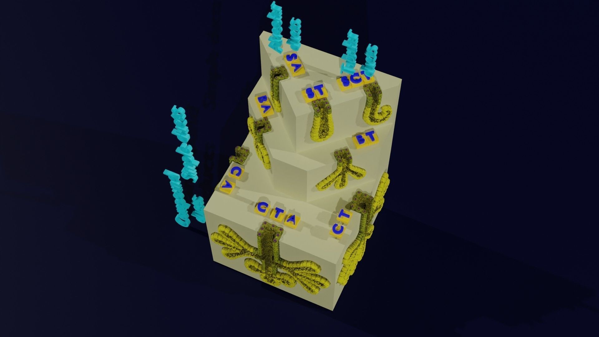 Ducts glands type simple compound alveolar tubular 3D model_5