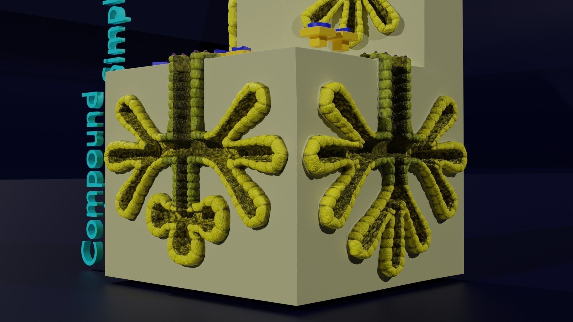 Ducts glands type simple compound alveolar tubular 3D model_14