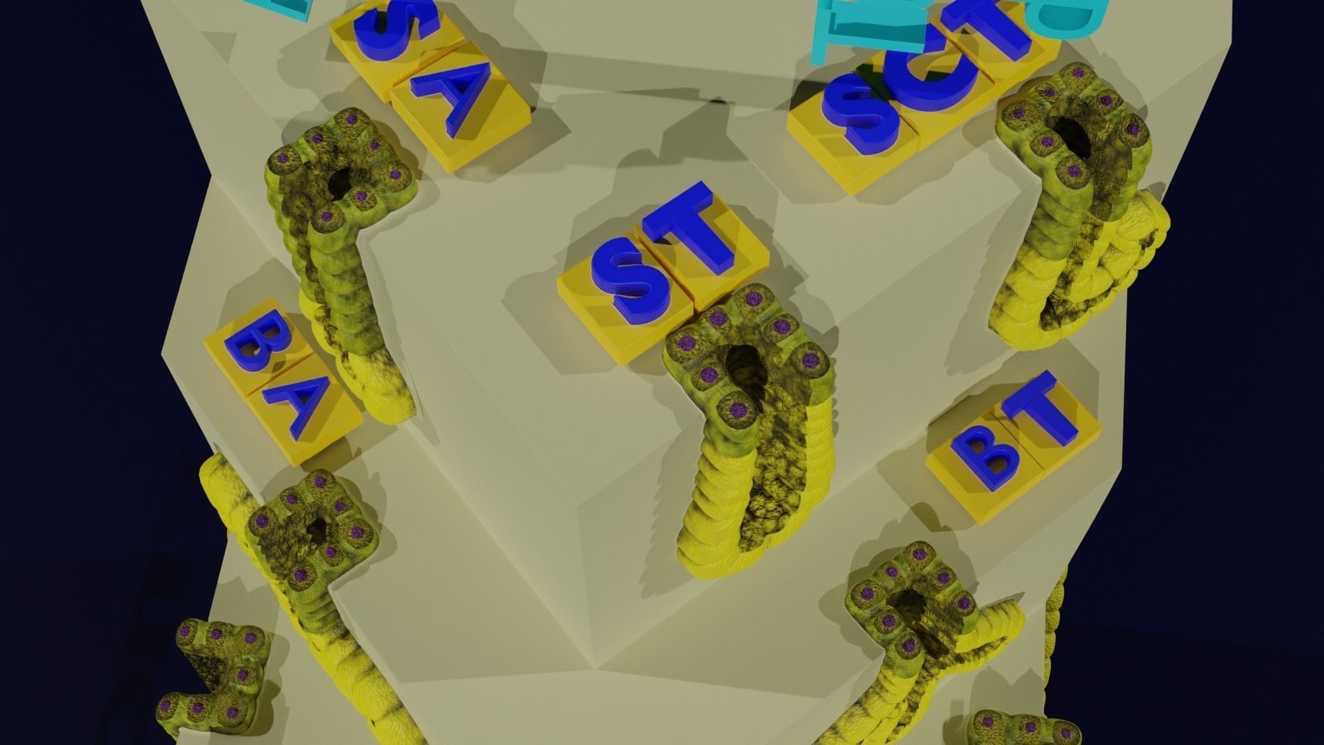 Ducts glands type simple compound alveolar tubular 3D model_24