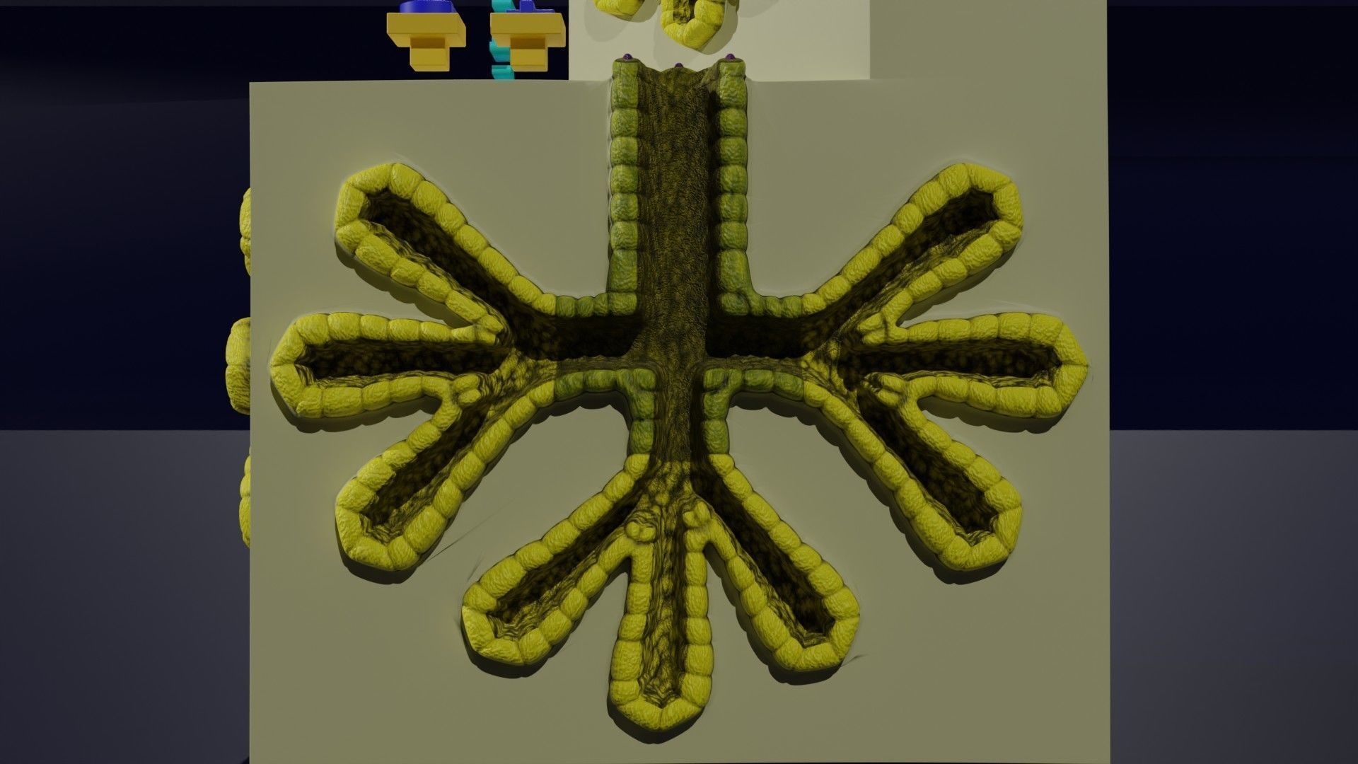 Ducts glands type simple compound alveolar tubular 3D model_15