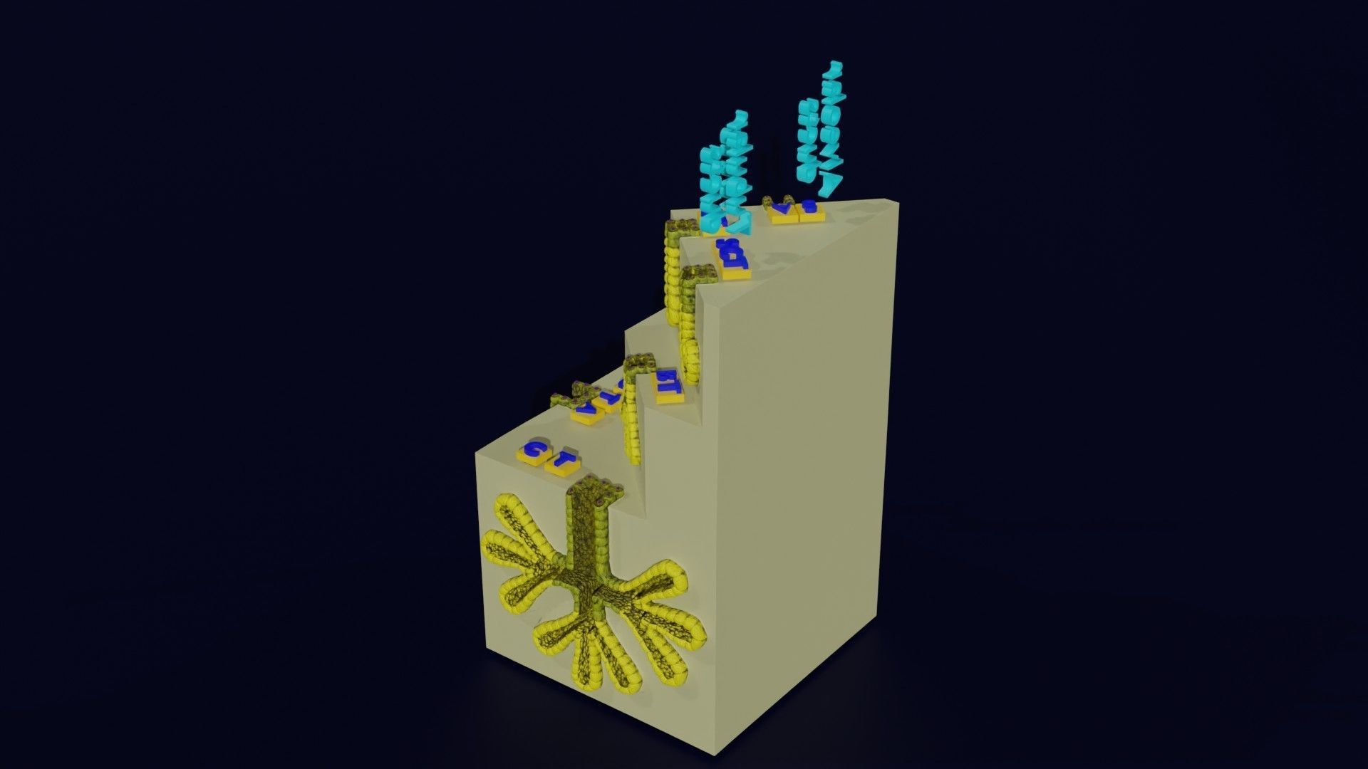 Ducts glands type simple compound alveolar tubular 3D model_49
