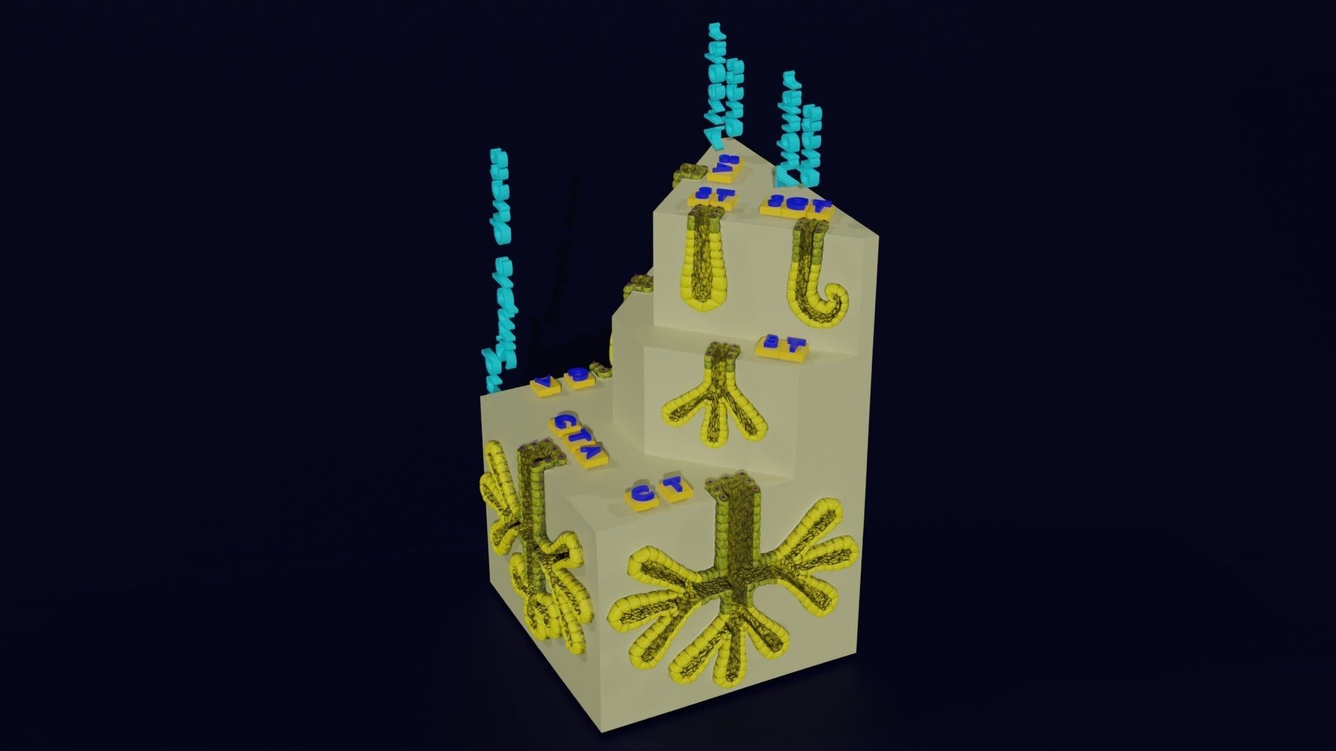 Ducts glands type simple compound alveolar tubular 3D model_52