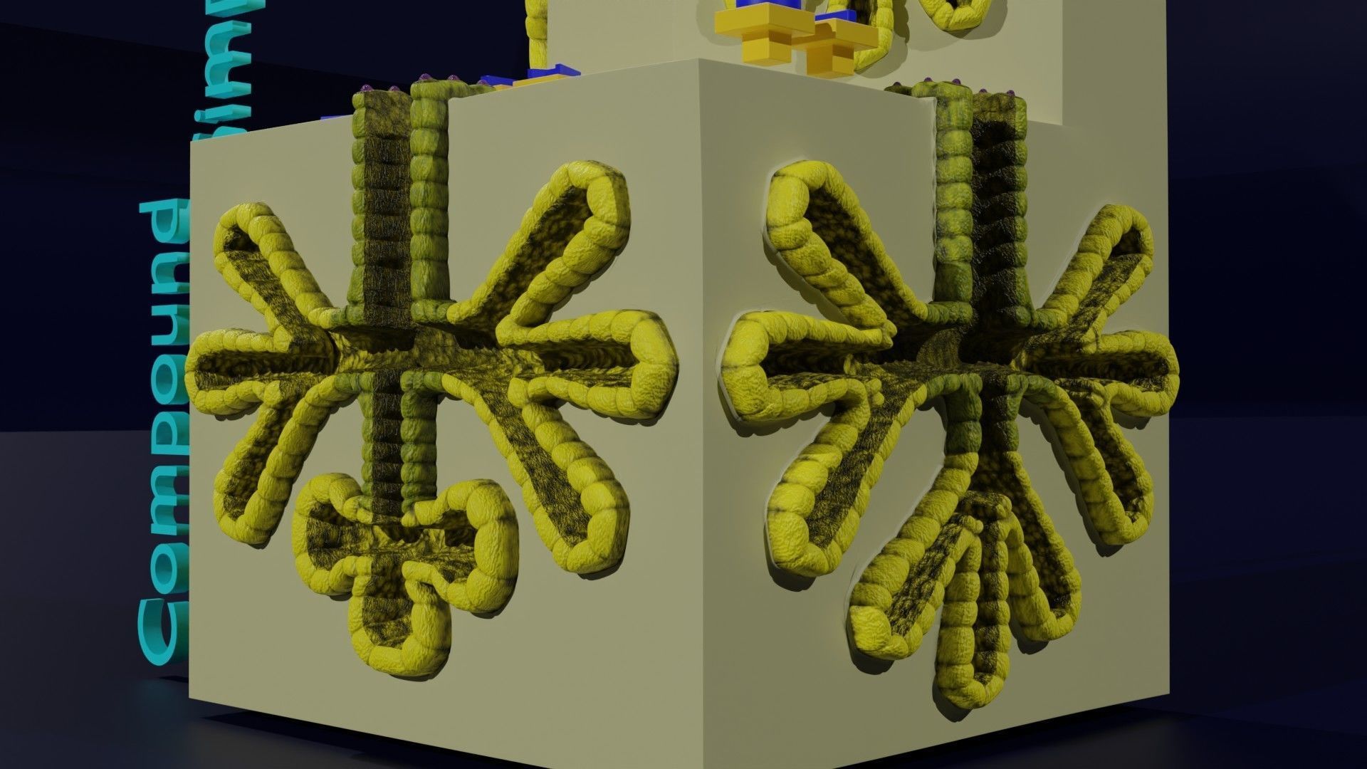 Ducts glands type simple compound alveolar tubular 3D model_33