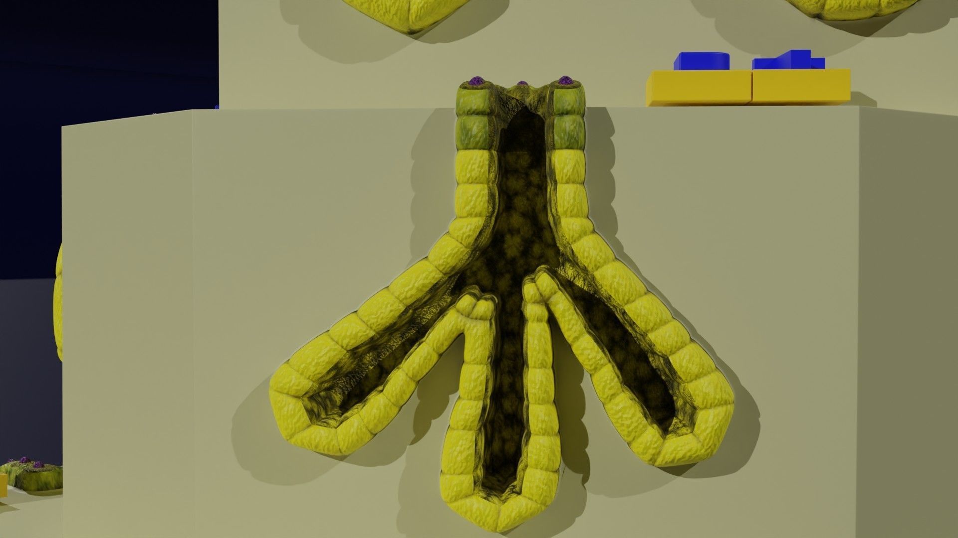 Ducts glands type simple compound alveolar tubular 3D model_34