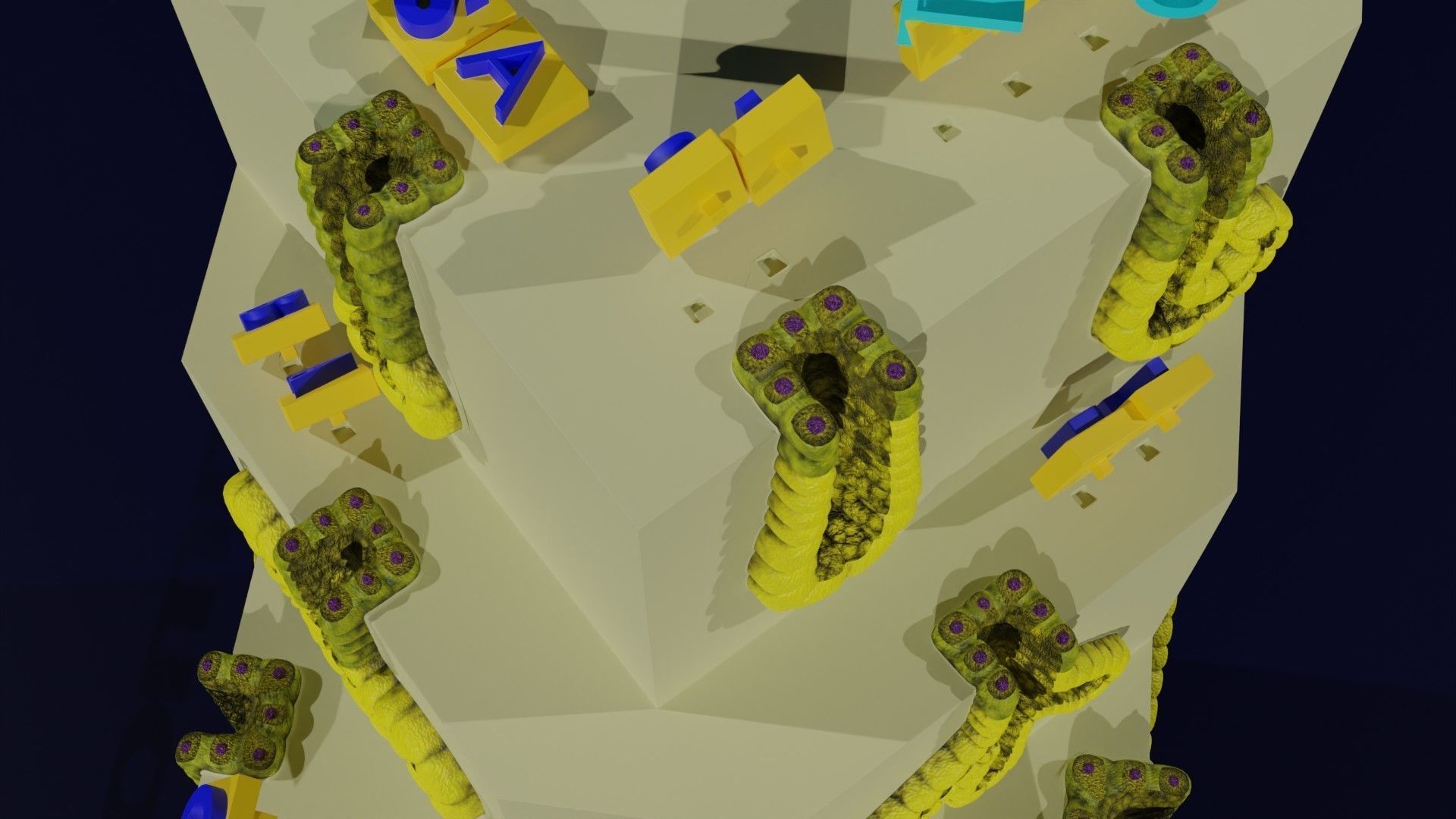 Ducts glands type simple compound alveolar tubular 3D model_28