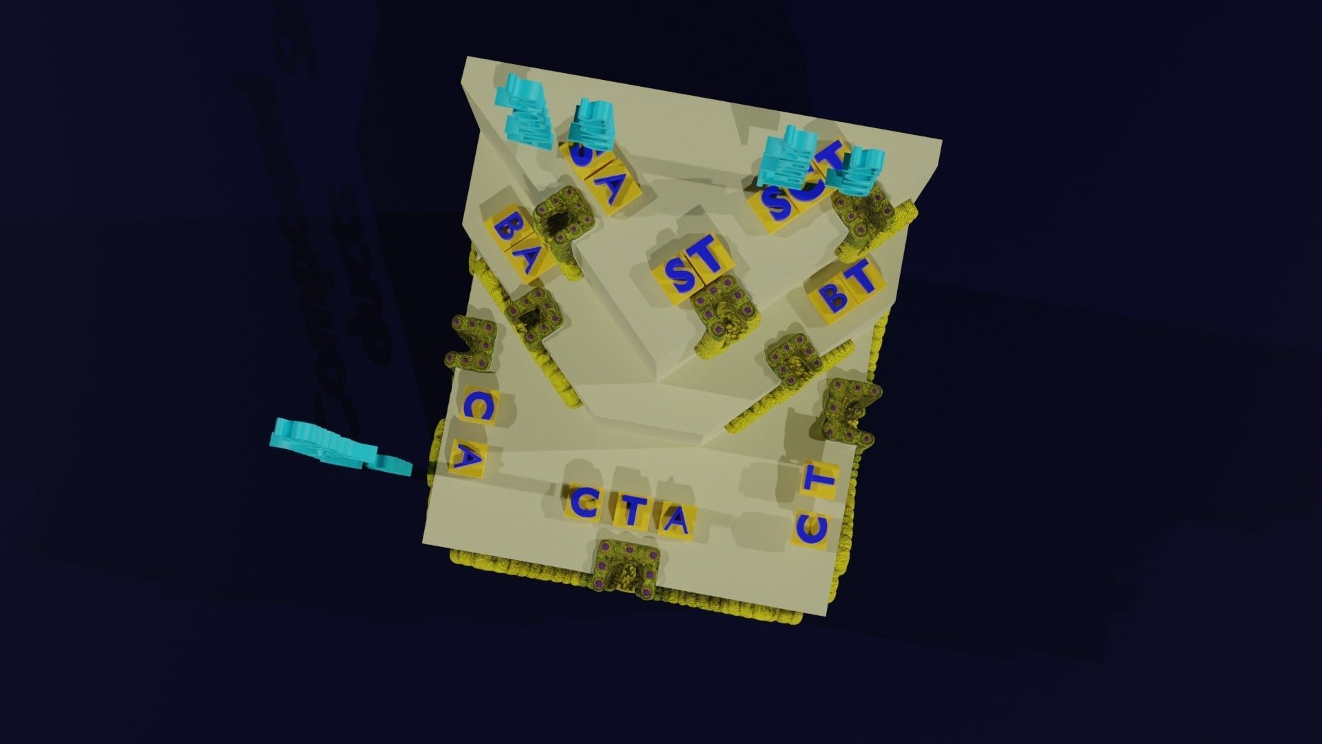 Ducts glands type simple compound alveolar tubular 3D model_12