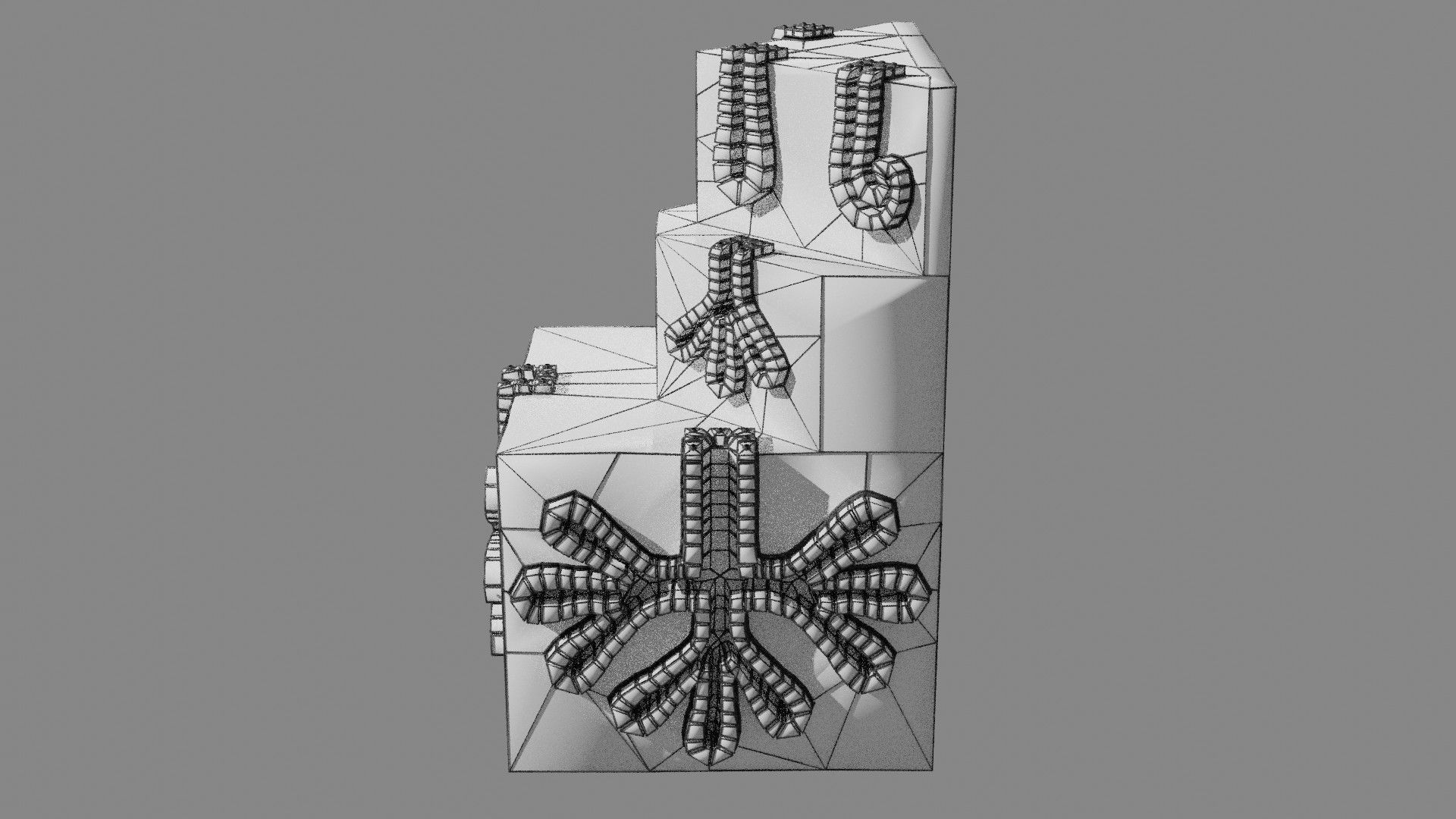 Ducts glands type simple compound alveolar tubular 3D model_62