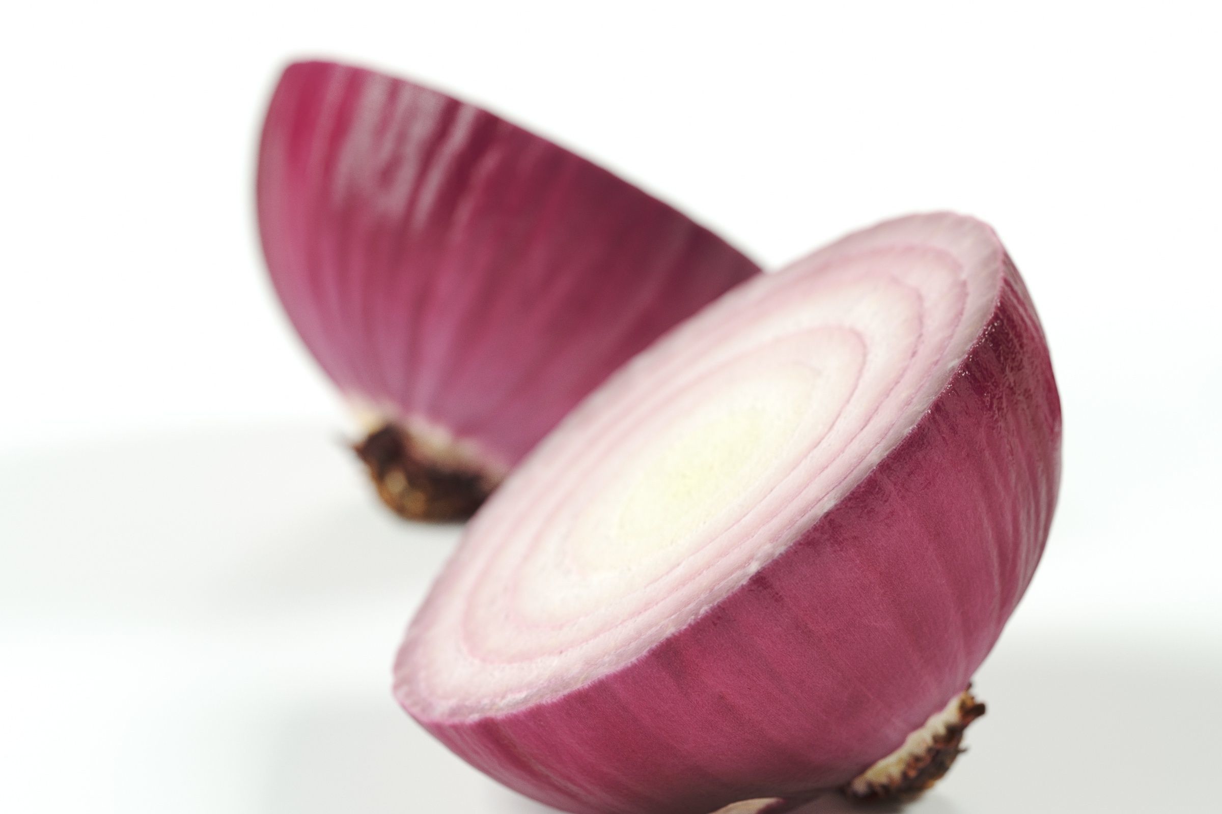 Polypasta - red onion 02 - peeled cutted bottom 3D model_1