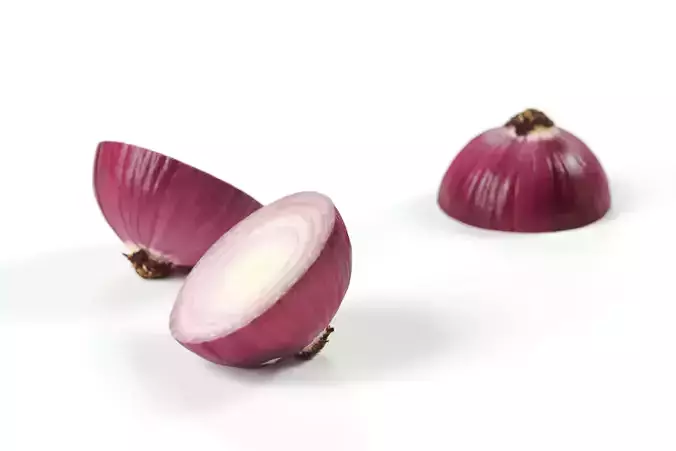 Polypasta - red onion 02 - peeled cutted bottom 3D model