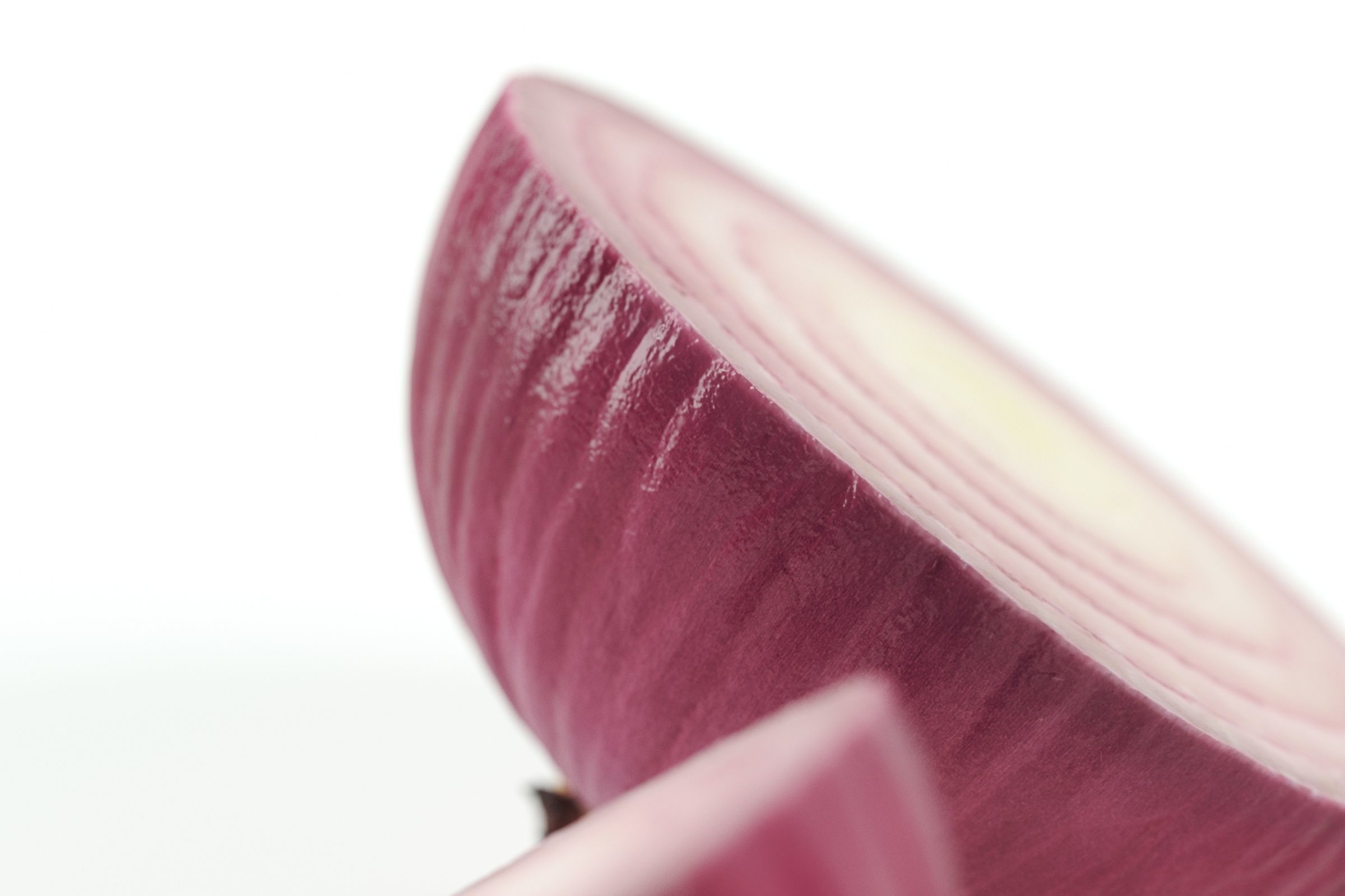 Polypasta - red onion 02 - peeled cutted bottom 3D model_4