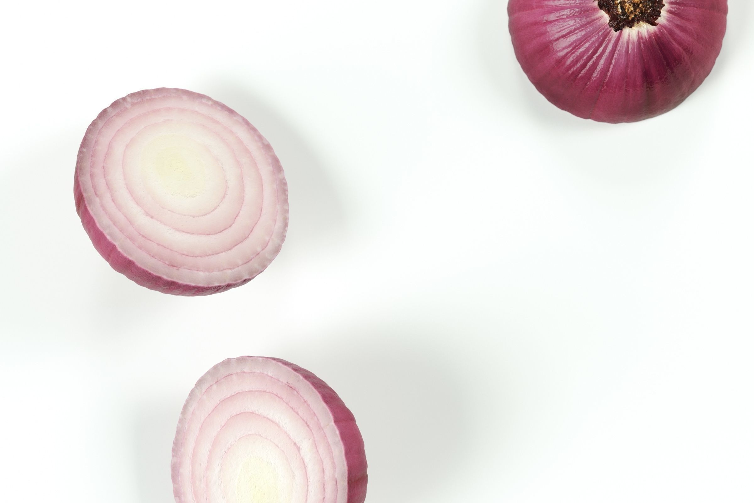 Polypasta - red onion 02 - peeled cutted bottom 3D model_3