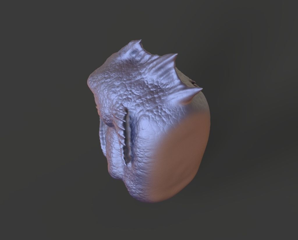 HEAD-R5 high poly sculpt  3D model_4