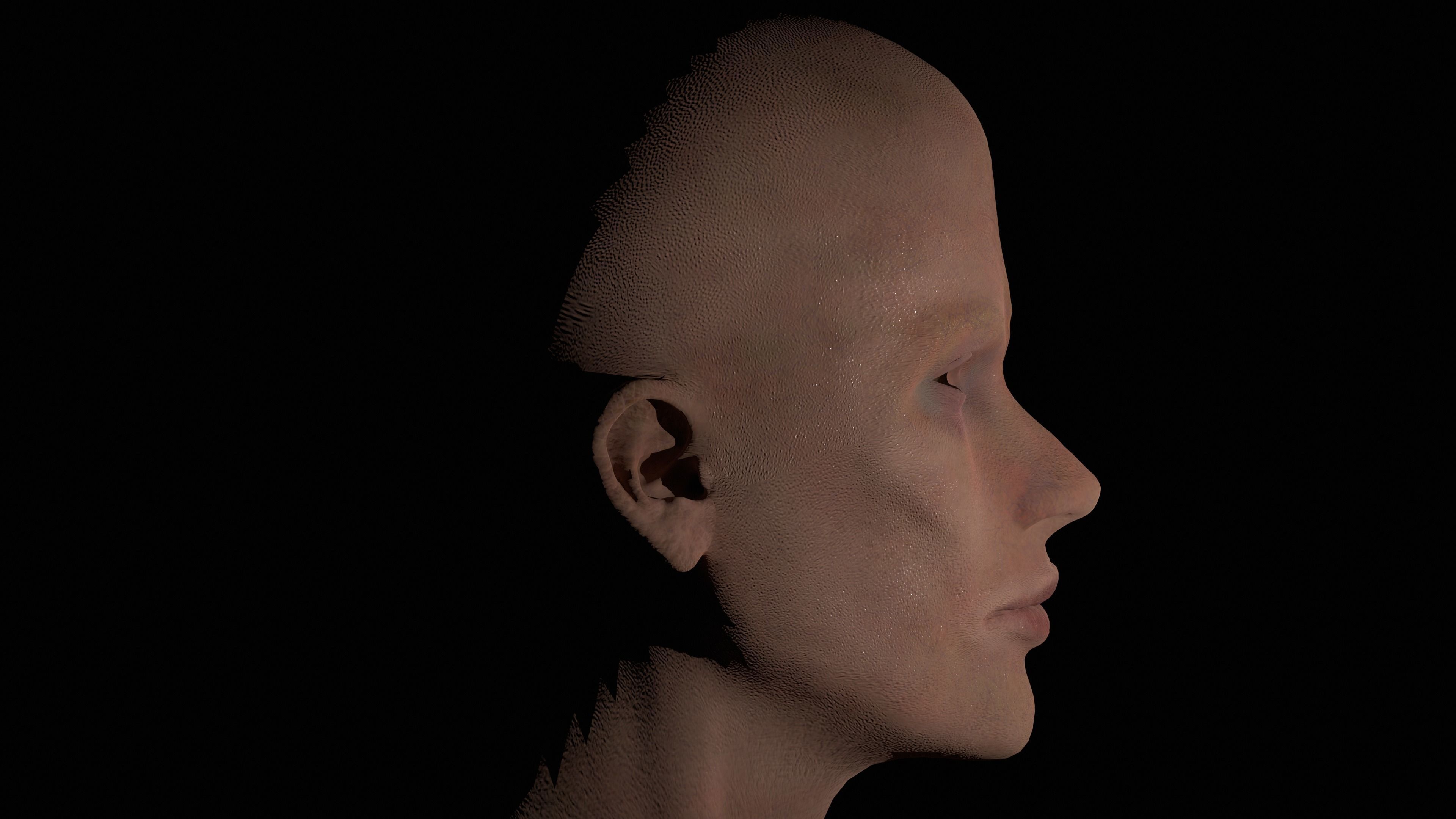 CILLIAN MURPHY HEAD Low-poly 3D model_11